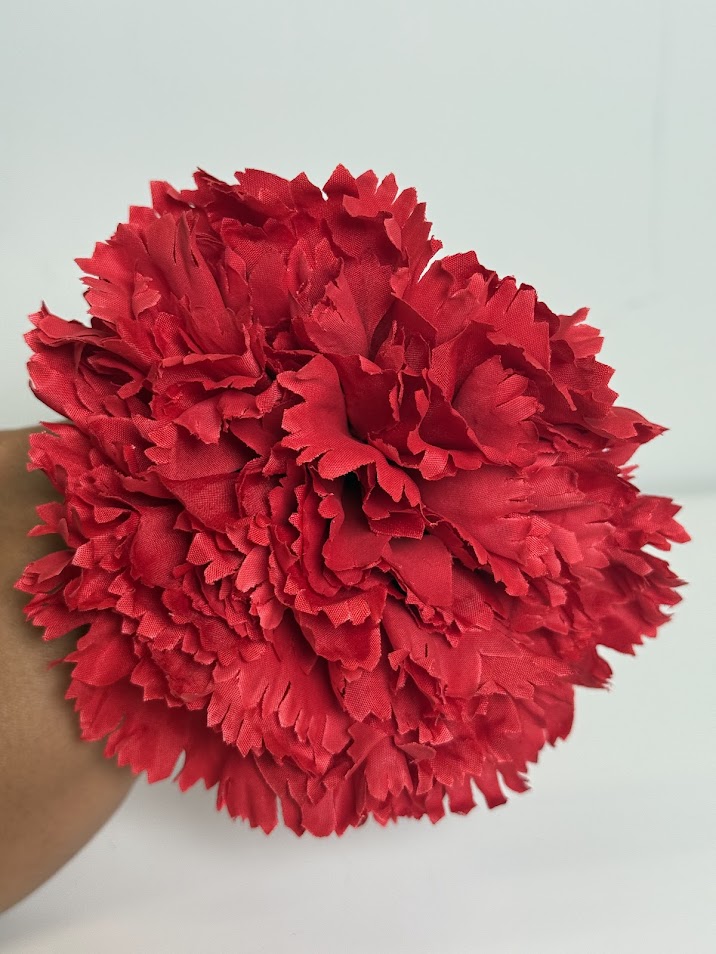 Claveles (más colores) - Rojo