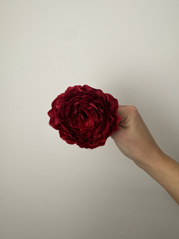 Rosa del cardenal (más colores)