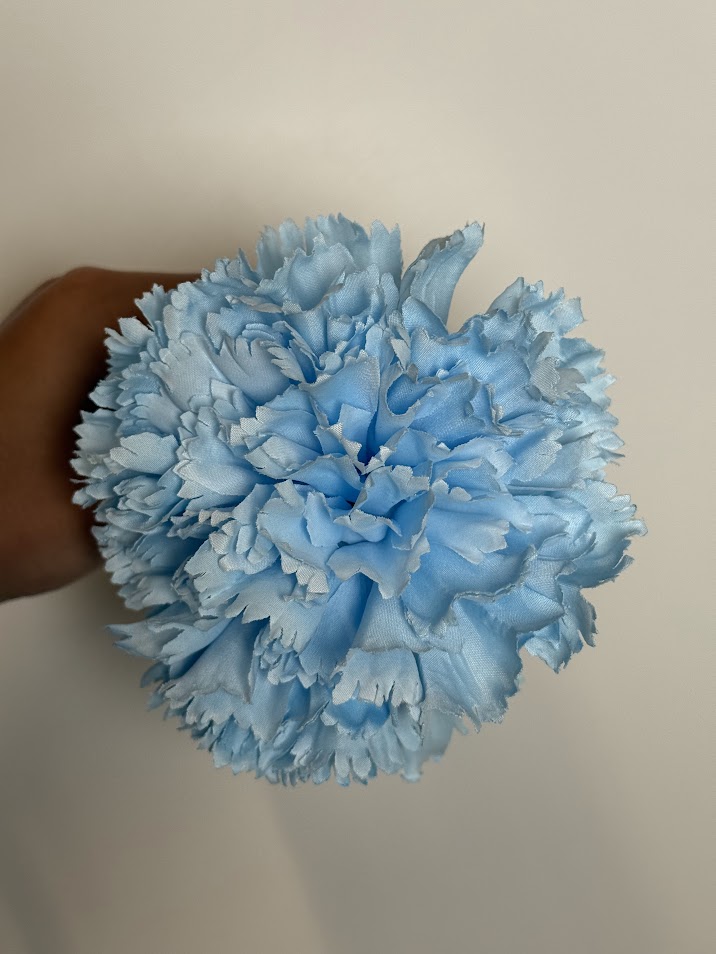 Claveles (más colores) - Celeste