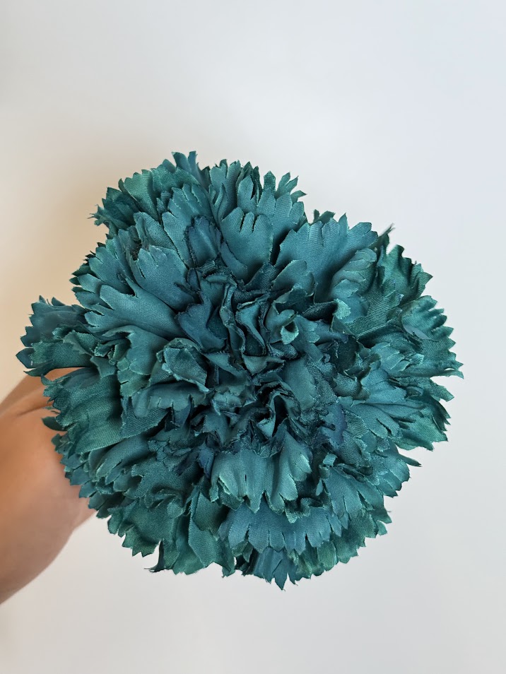 Claveles (más colores) - Petróleo