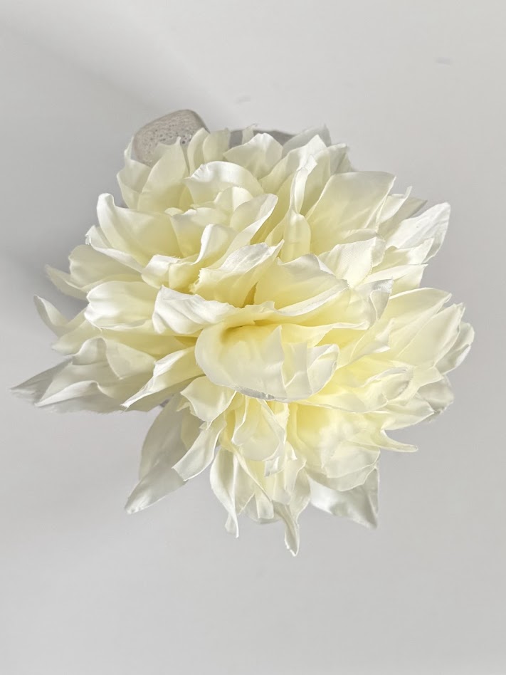 Dalias degradadas (más colores)