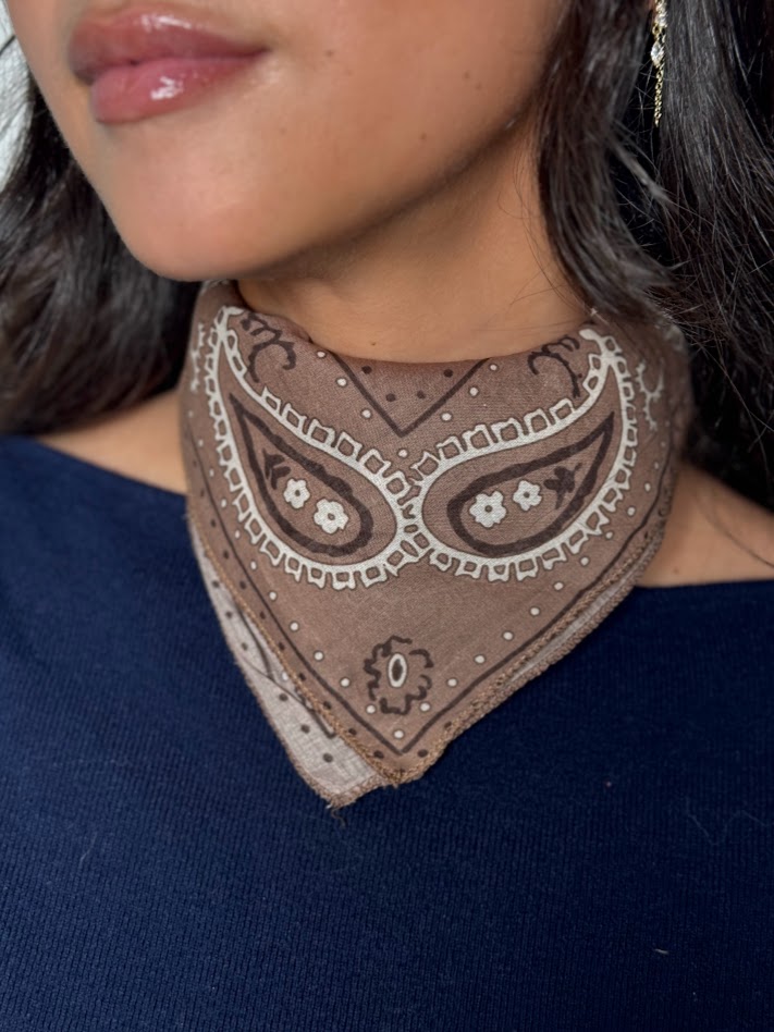 Pañuelo estampado marrón