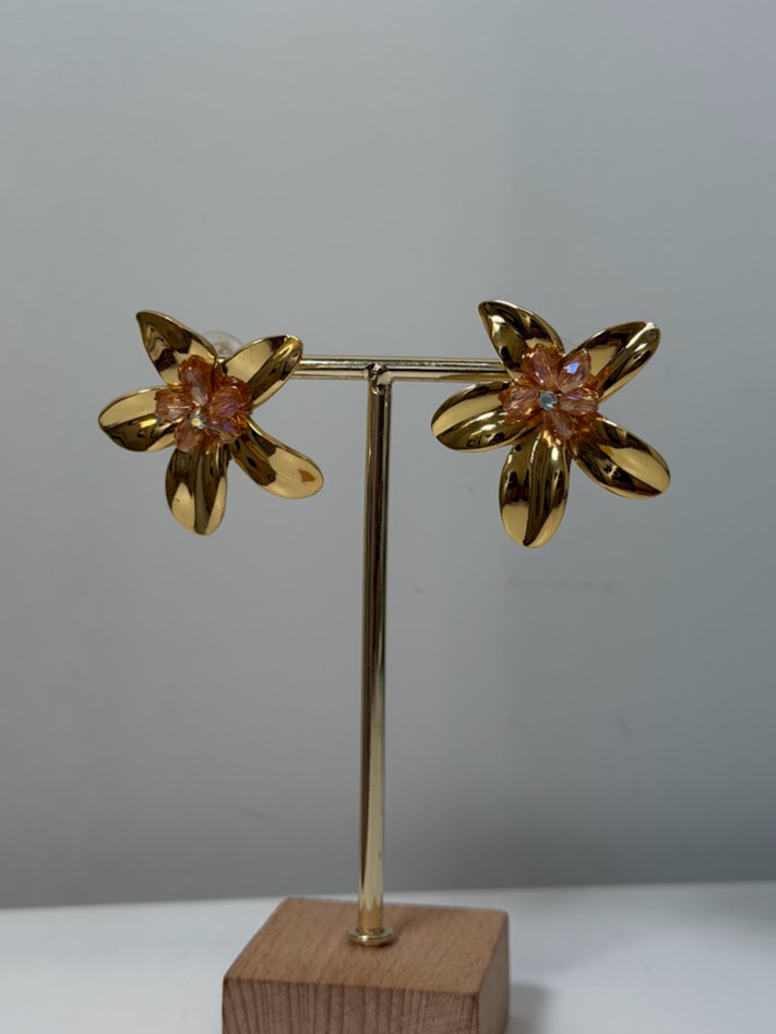 Pendientes Gina rosa
