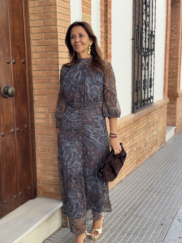 Vestido Lisa